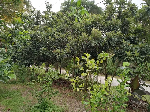 $375,000 | 10342 Shady Drive, Hudson, FL 34669