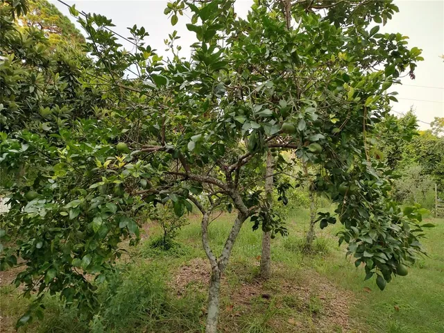 $375,000 | 10342 Shady Drive, Hudson, FL 34669