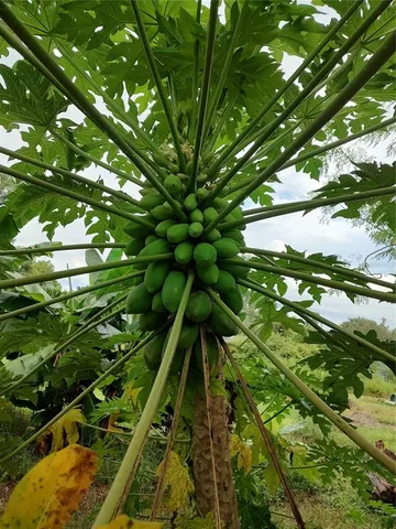 $375,000 | 10342 Shady Drive, Hudson, FL 34669