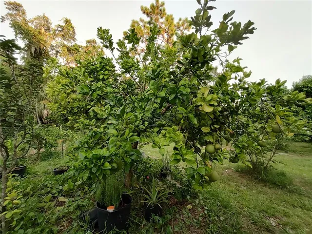 $375,000 | 10342 Shady Drive, Hudson, FL 34669