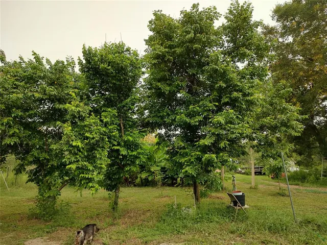 $375,000 | 10342 Shady Drive, Hudson, FL 34669