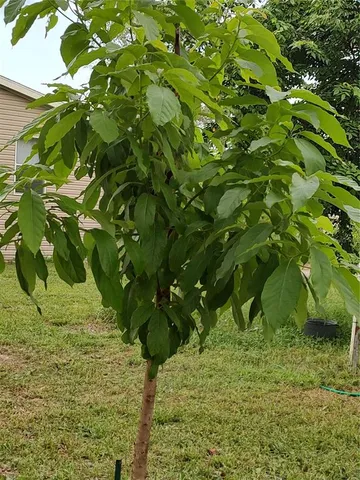 $375,000 | 10342 Shady Drive, Hudson, FL 34669