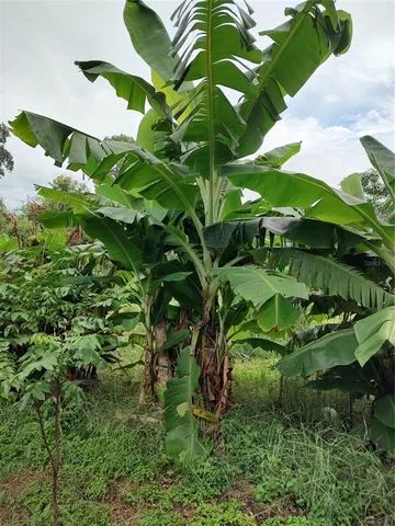 $375,000 | 10342 Shady Drive, Hudson, FL 34669