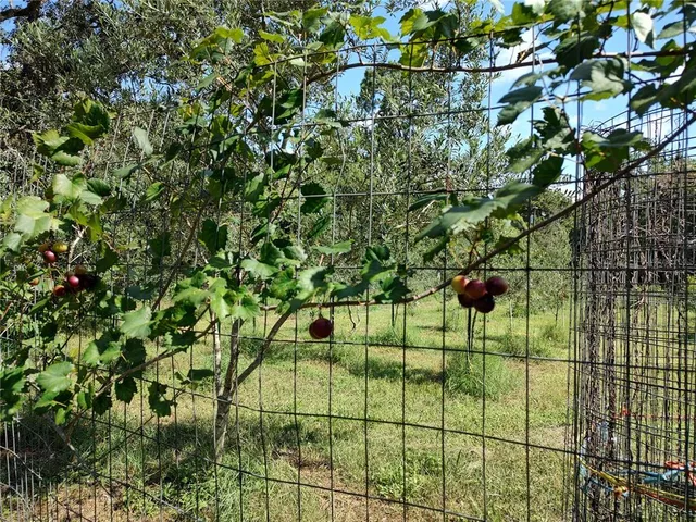 $375,000 | 10342 Shady Drive, Hudson, FL 34669