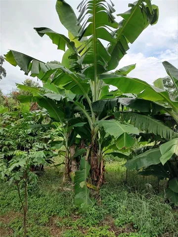 $375,000 | 10342 Shady Drive, Hudson, FL 34669