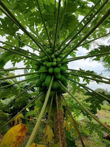 $375,000 | 10342 Shady Drive, Hudson, FL 34669