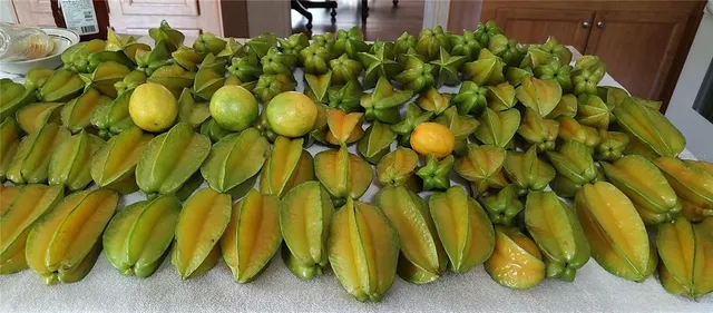 $375,000 | 10342 Shady Drive, Hudson, FL 34669