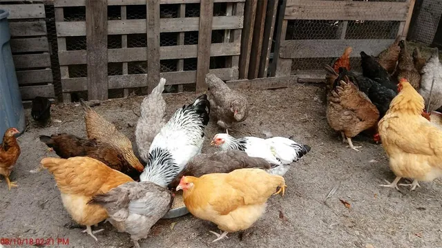 $375,000 | 10342 Shady Drive, Hudson, FL 34669