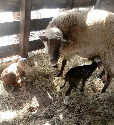 $375,000 | 10342 Shady Drive, Hudson, FL 34669