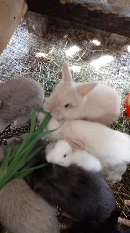 $375,000 | 10342 Shady Drive, Hudson, FL 34669