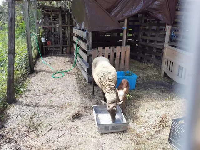 $375,000 | 10342 Shady Drive, Hudson, FL 34669