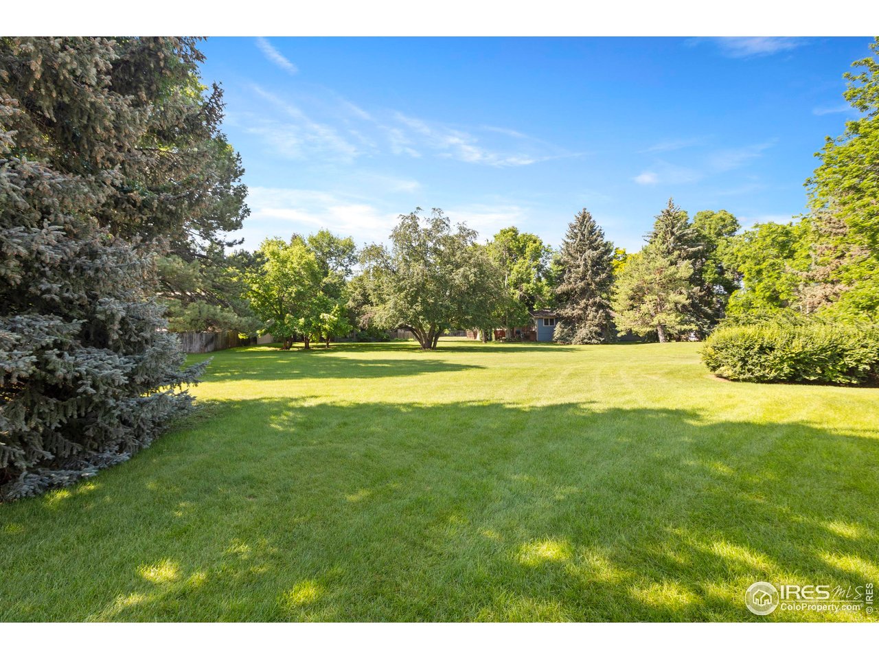 705 East Drake Road, Unit 40 Fort Collins, CO 80525 - Photo 31 of 33 Gorgeous green space out the back door!