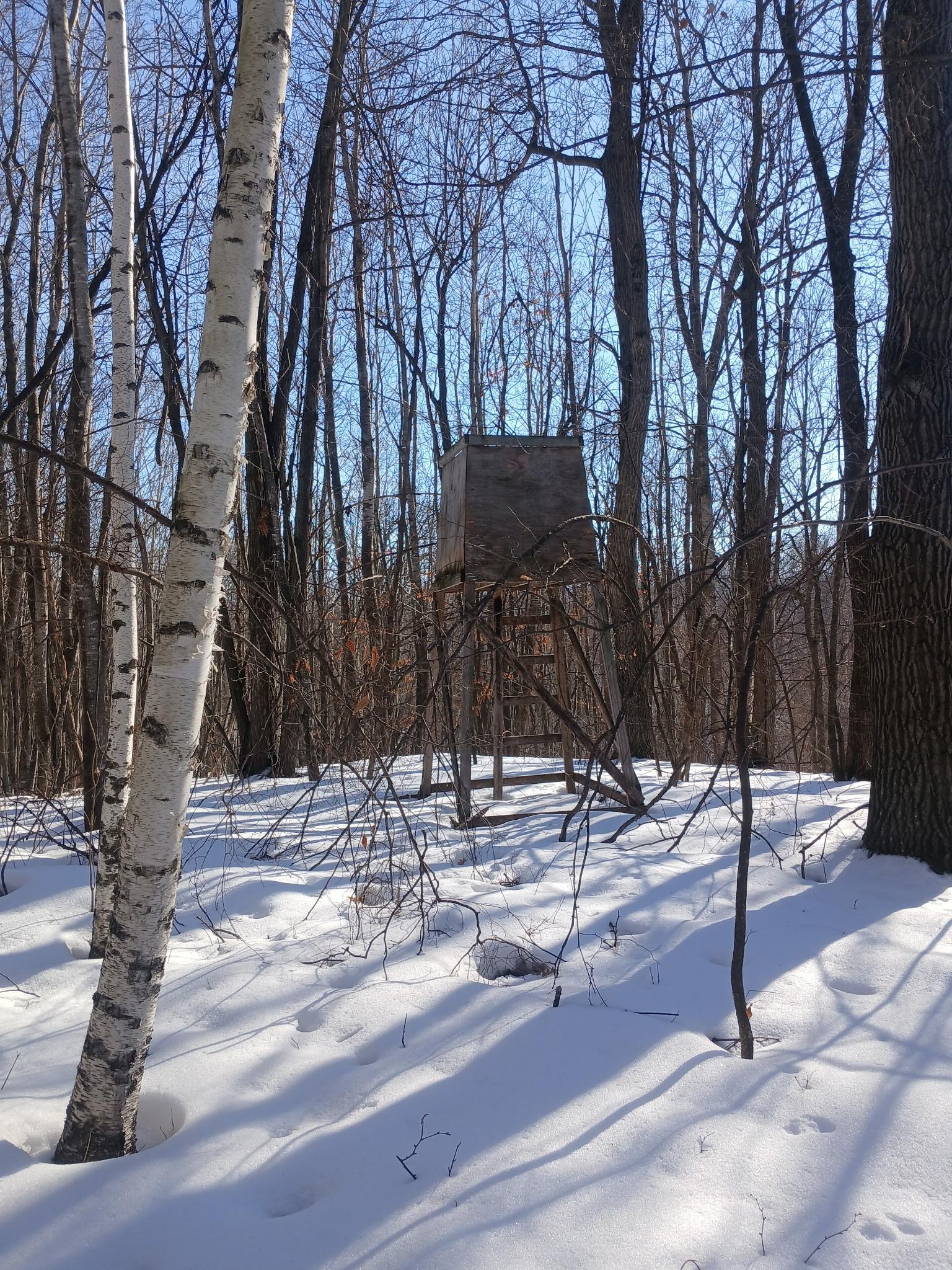 Tbd Bear Road Cushing, MN 56443 - Photo 26 of 42