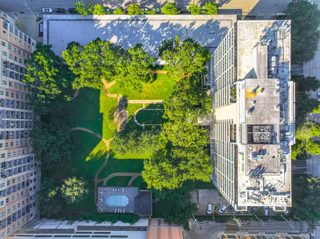 a view of a flower in front of a building