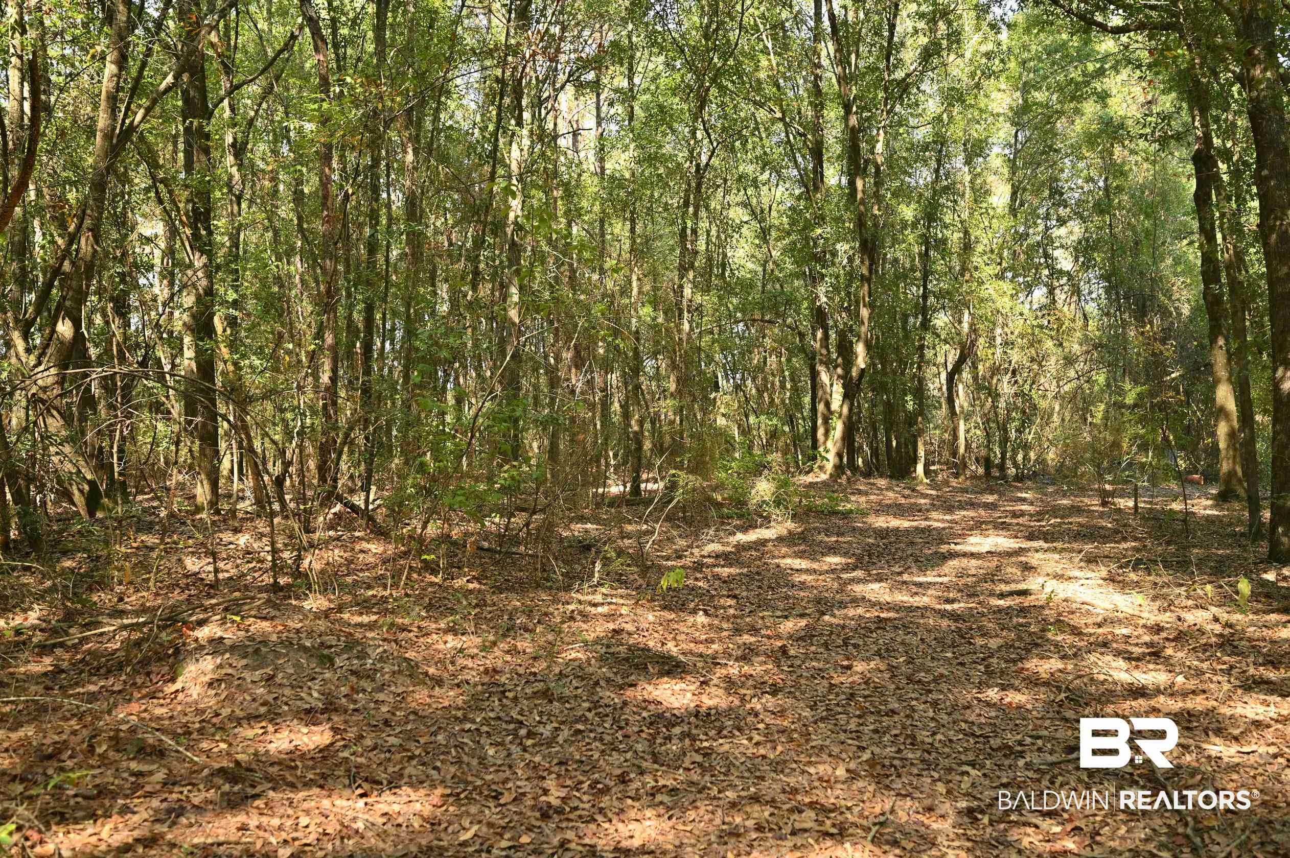 287 Green Road Castleberry, AL 36432 - Photo 30 of 53