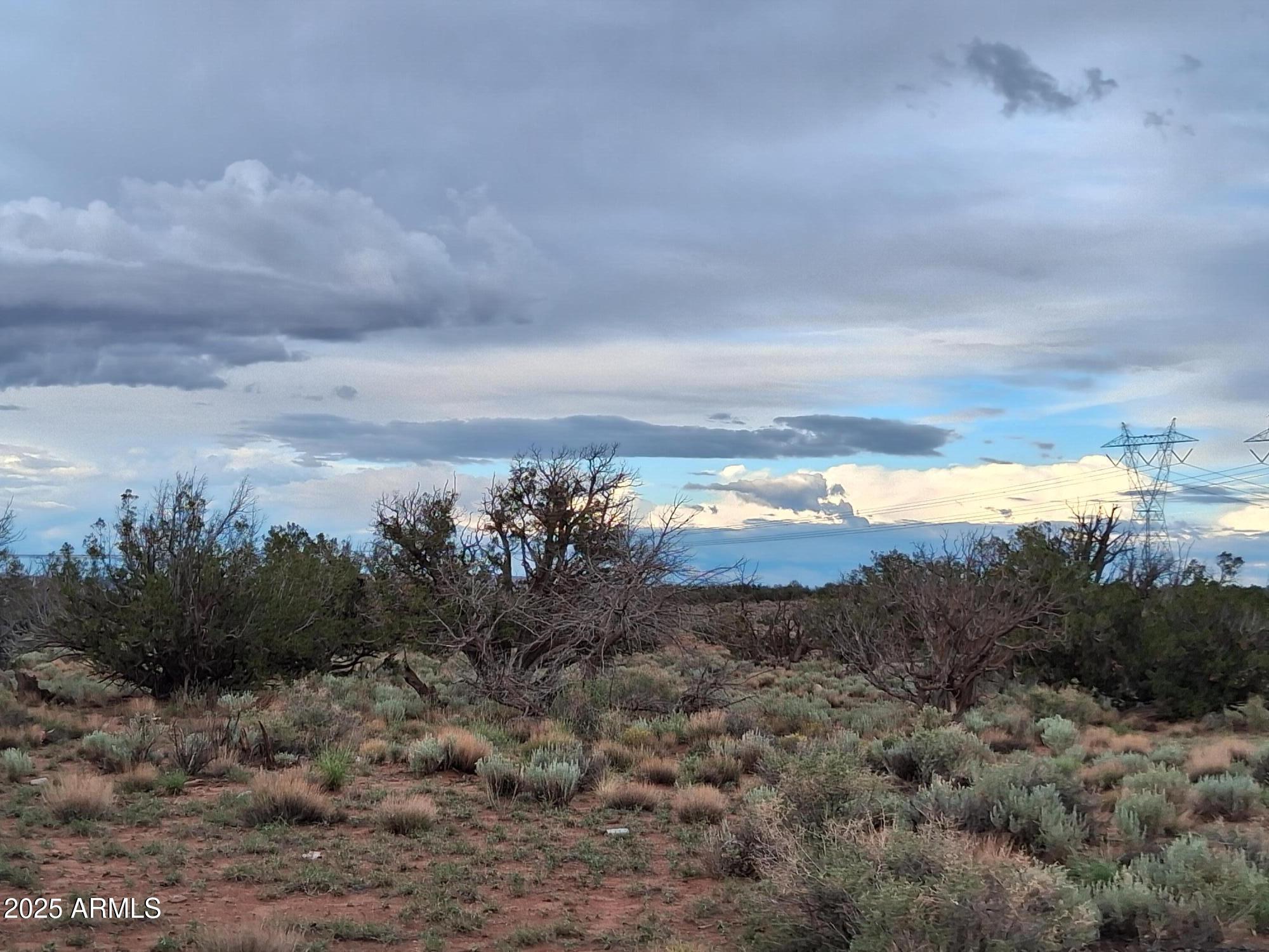 201 County Road Concho, AZ 85924 - Photo 13 of 24