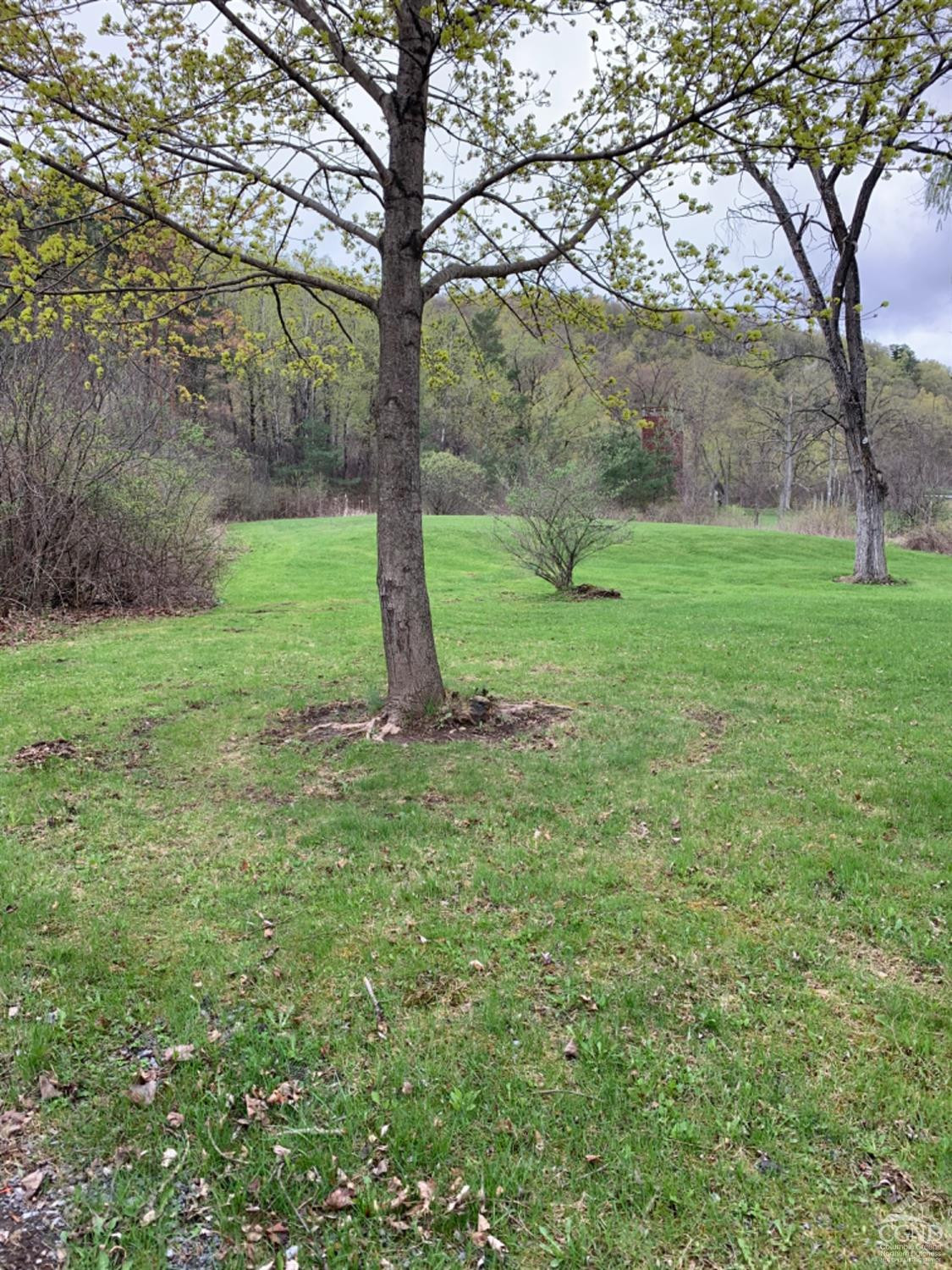 2063 Rte 9W Selkirk, NY 12158 - Photo 6 of 39 Photo 6