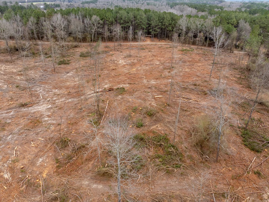4 Fulgham Road Tylertown, MS 39667 - Photo 8 of 13 Photo 8