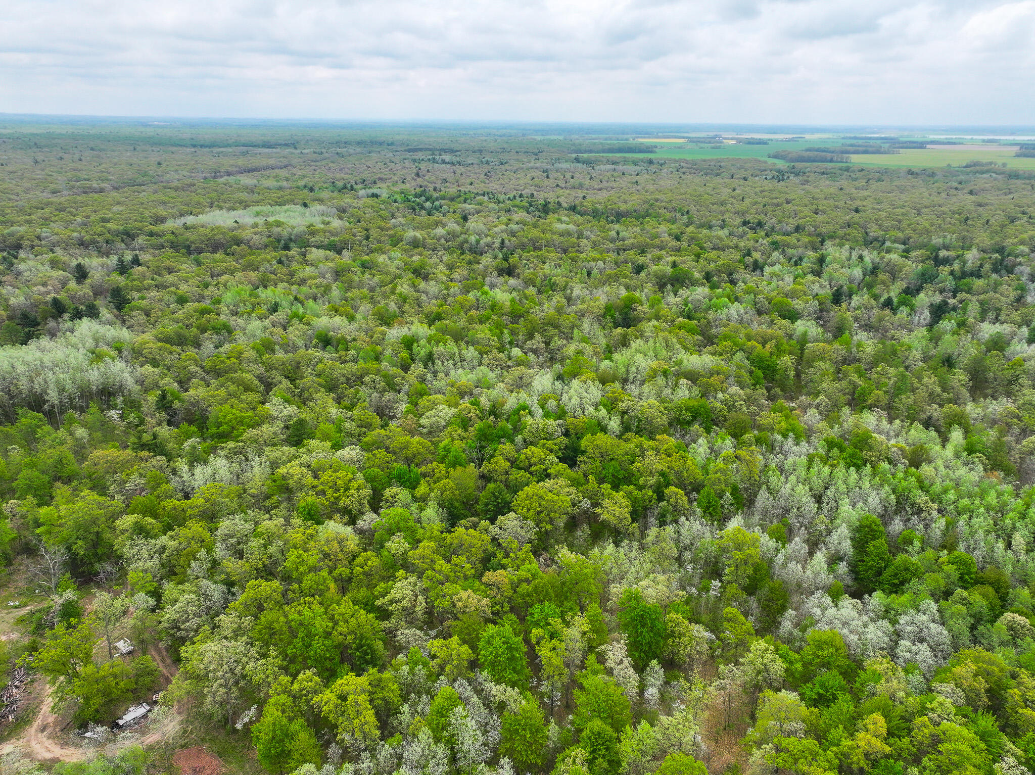 12.19 Rapp Drive Twin Lake, MI 49457 - Photo 10 of 48 DJI_20260512131827_0528_D