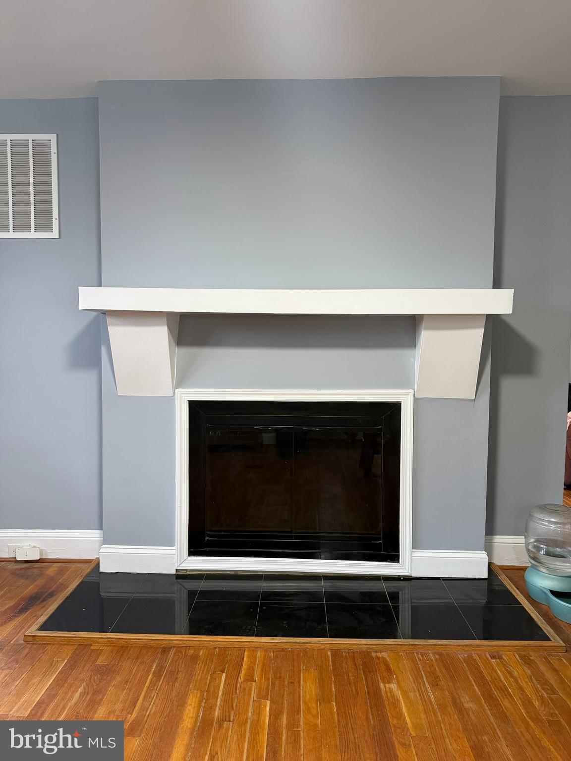 3901 West Cold Spring Lane Baltimore, MD 21215 - Photo 33 of 38 Fireplace
