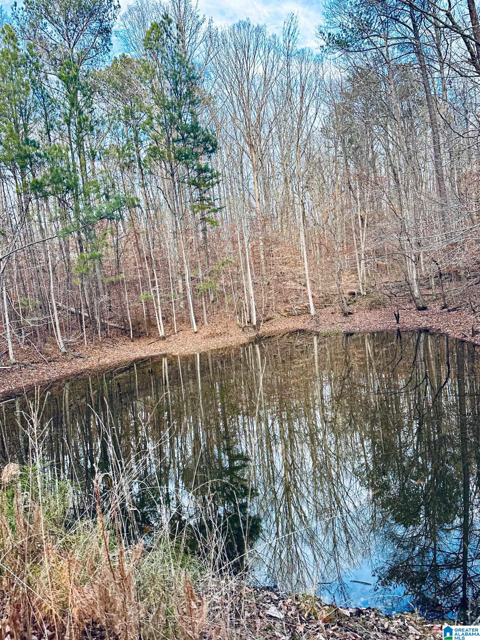 5325 Union T Road Talladega, AL 35160 - Photo 78 of 83