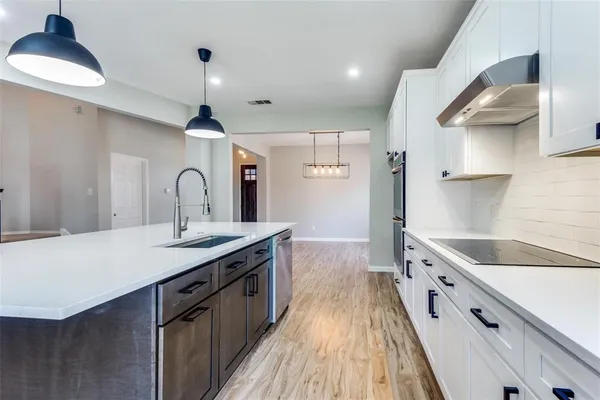 $2,990 | 14513 Logan Springs Drive, Little Elm, TX 75068