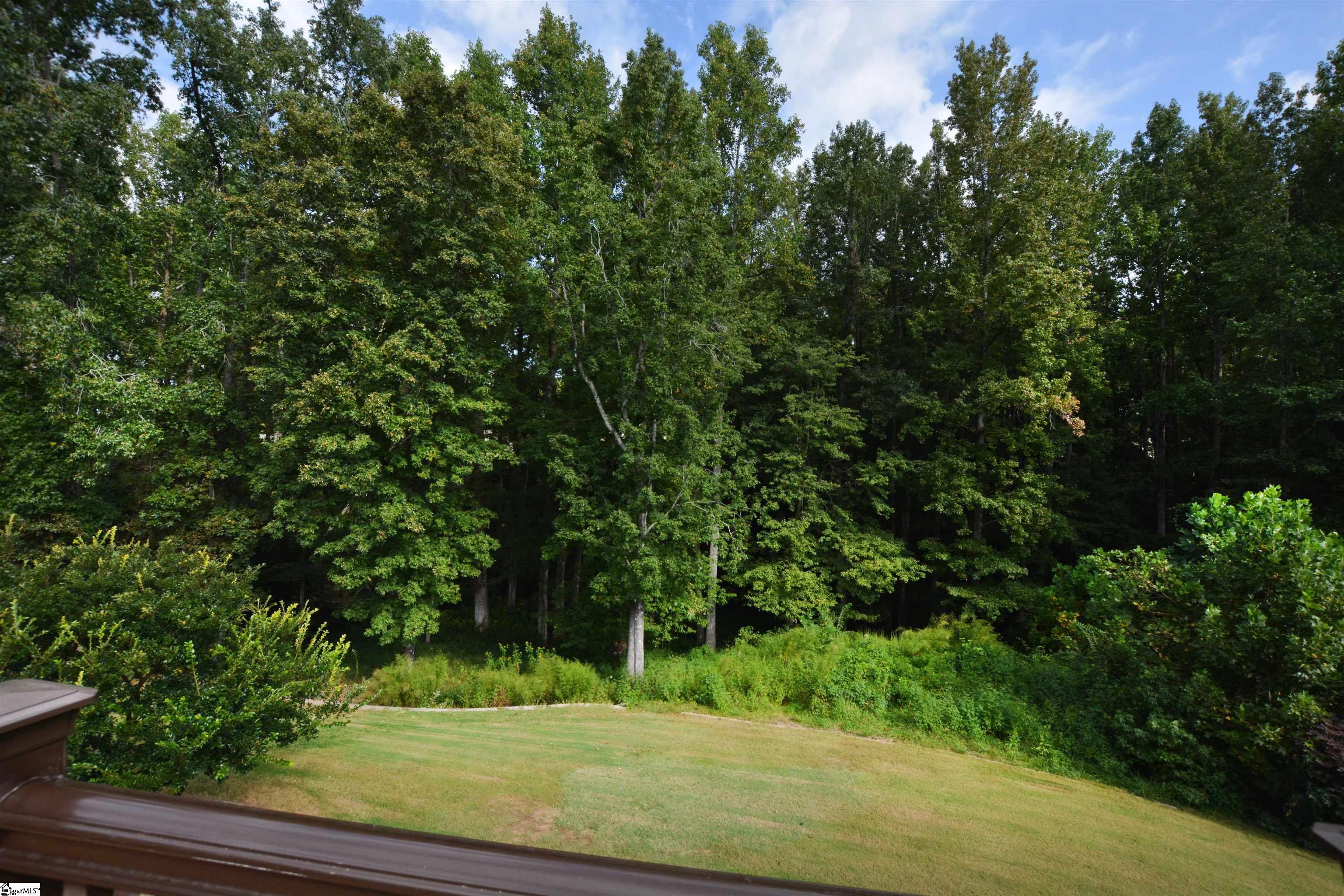 204 Watercourse Way Greer, SC 29651 - Photo 13 of 33