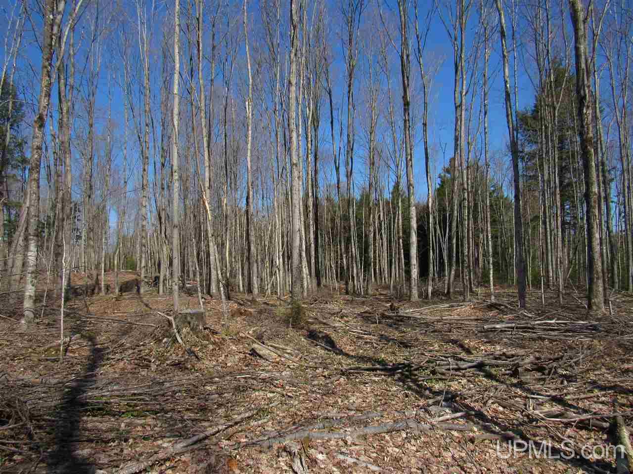 N2510 Co Rd Kch Big Bay, MI 49808 - Photo 18 of 39