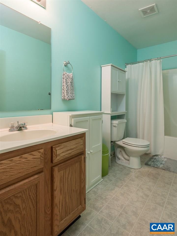 485 Carnation Road Ruckersville, VA 22968 - Photo 9 of 14 a bathroom with a sink and a toilet