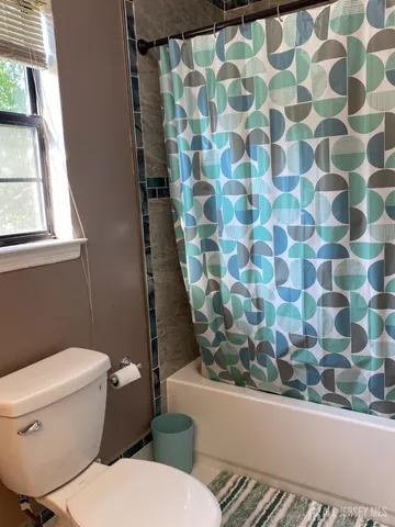 a white toilet sitting next to a shower curtain