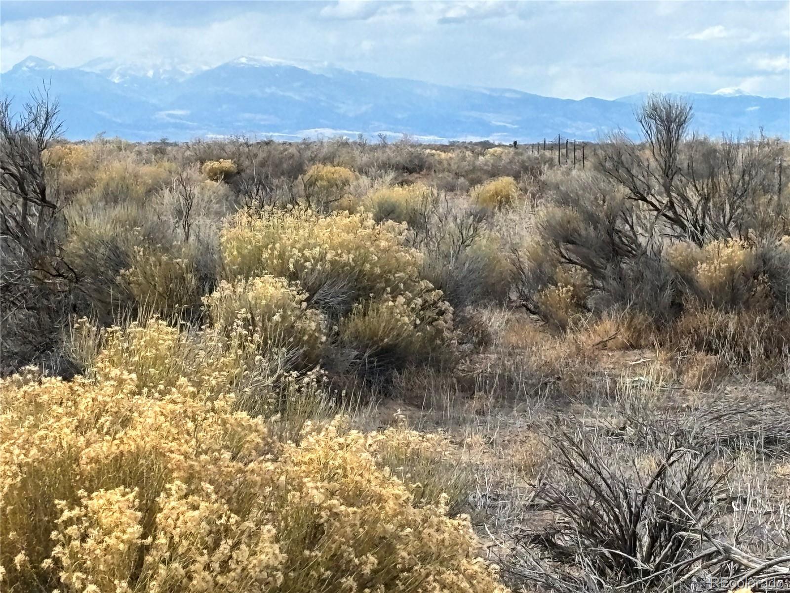 0 Clift Road Sanford, CO 81151 - Photo 8 of 12 a view of a forest with mountains in the background
