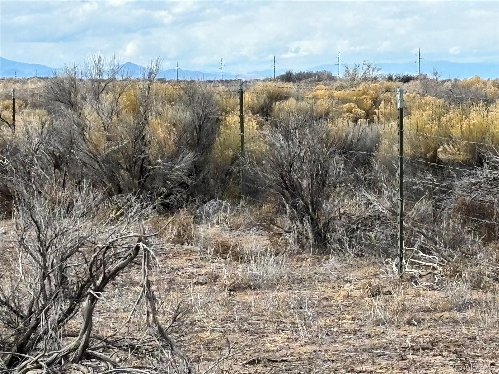 0 Clift Road Sanford, CO 81151 - Photo 9 of 12 a view of a forest with mountains in the background