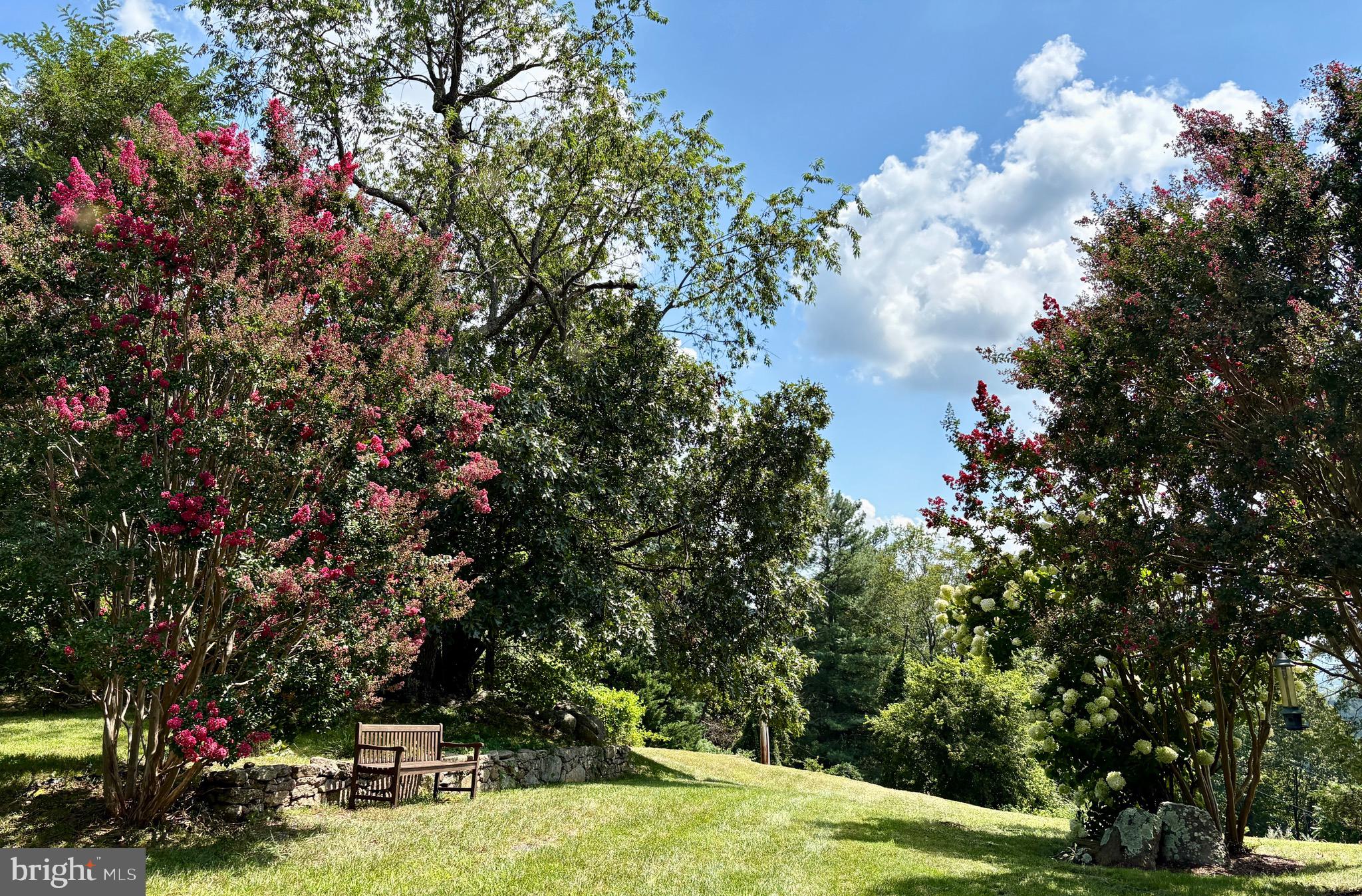 296 Ben Venue Road Flint Hill, VA 22627 - Photo 9 of 11 Spring!