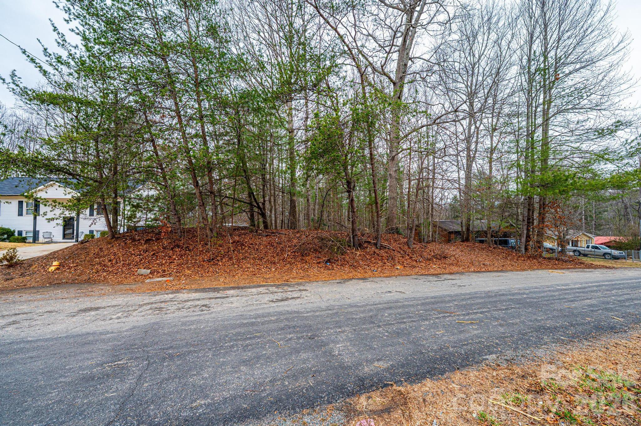 Tba Staircase Road Lenoir, NC 28645 - Photo 6 of 10 a view of outdoor space with trees