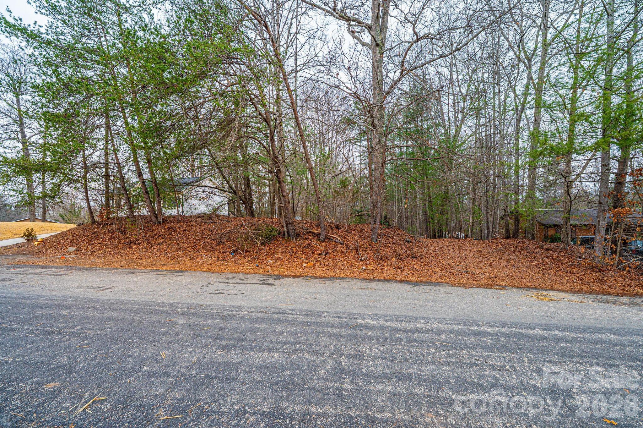 Tba Staircase Road Lenoir, NC 28645 - Photo 7 of 10 a view of backyard space