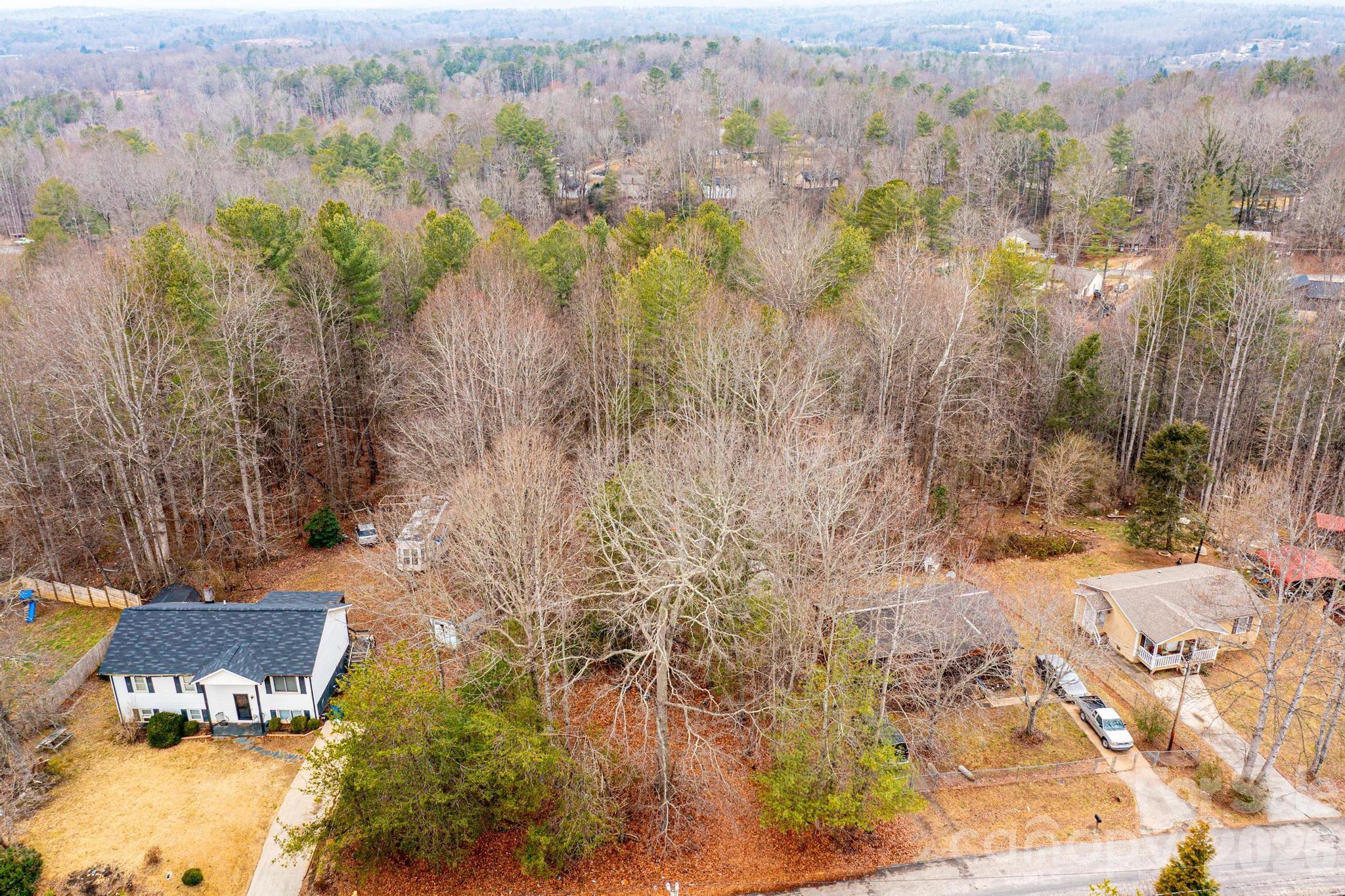 Tba Staircase Road Lenoir, NC 28645 - Photo 9 of 10 a view of a city with lush green forest