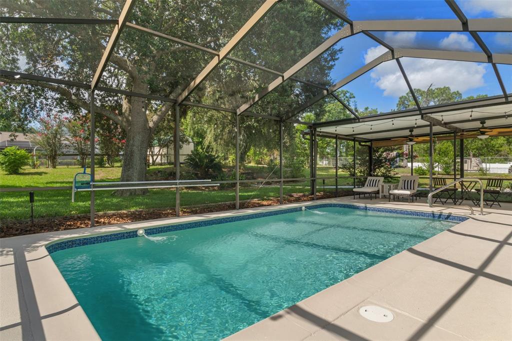 12380 Trout Circle Spring Hill, FL 34609 - Photo 38 of 59