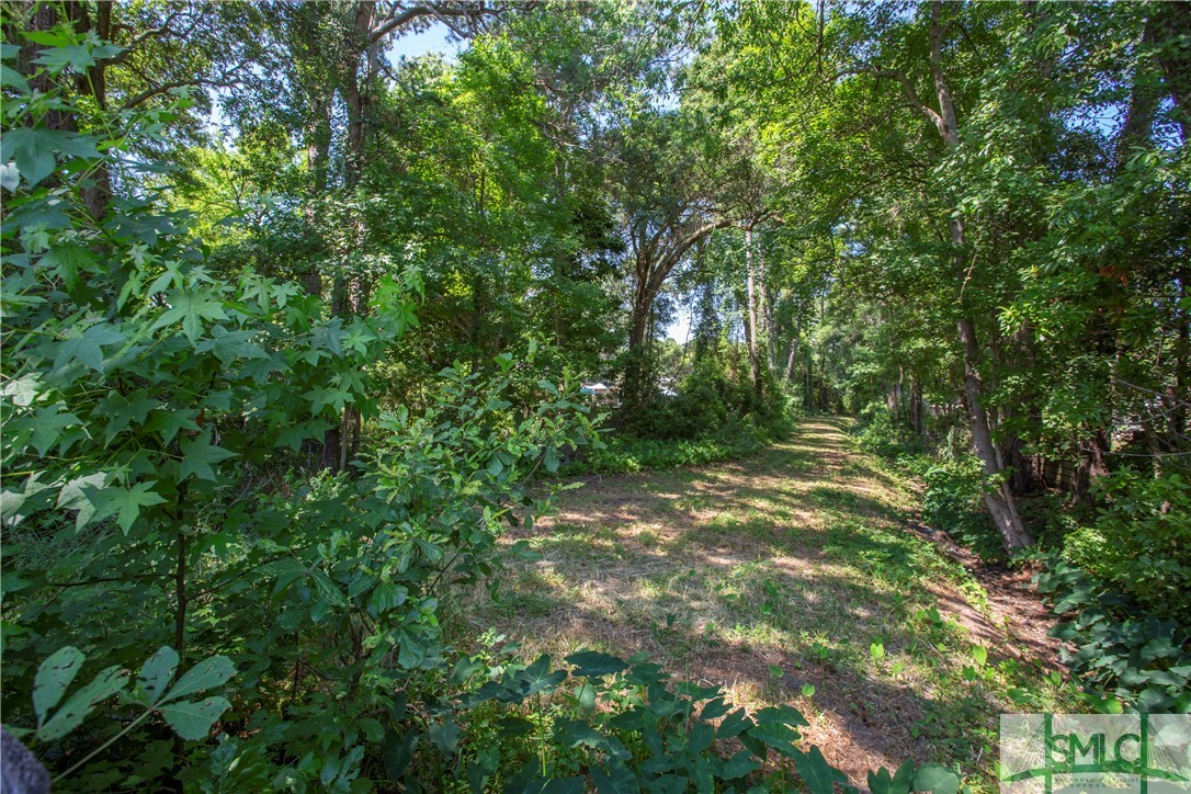107 Sweet Gum Road Savannah, GA 31410 - Photo 25 of 25 Easement behind property