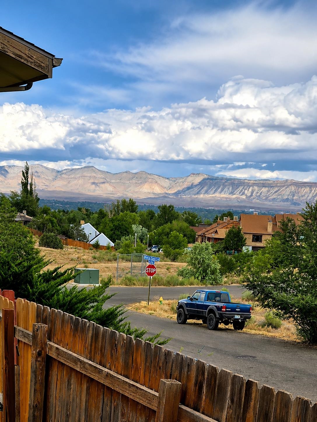 2348 Rattlesnake Court, Unit 1 Grand Junction, CO 81507 - Photo 4 of 26