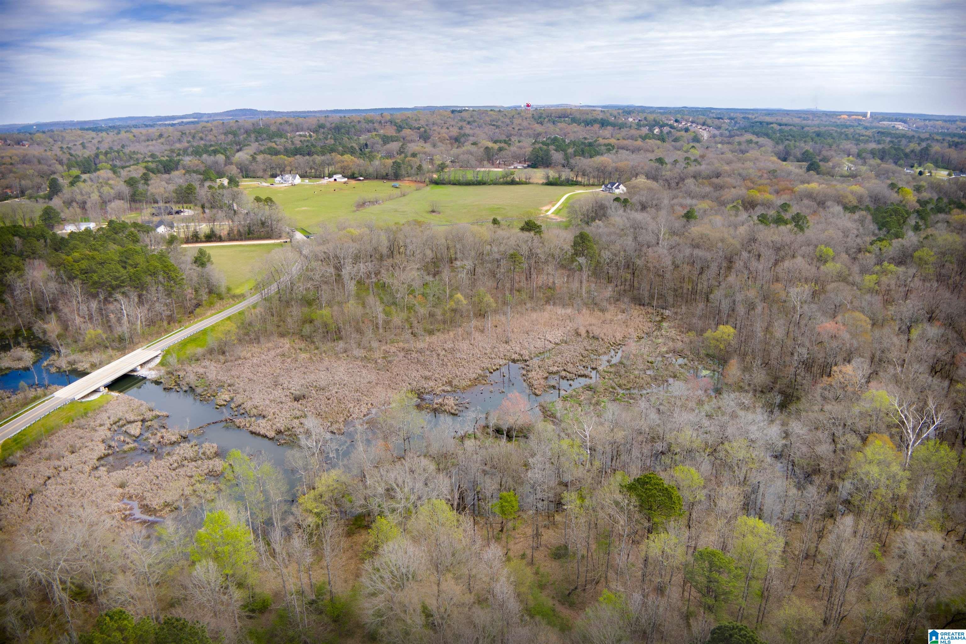 850 County Road 24, Unit 1B Montevallo, AL 35115 - Photo 17 of 24