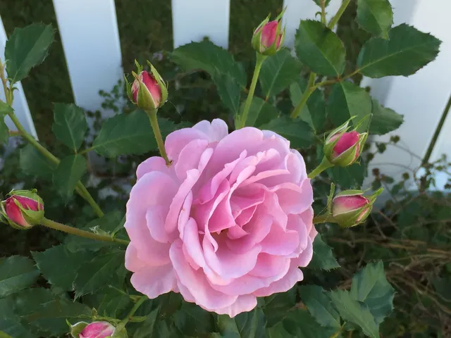 $315,000 | 707 Brittany Drive, Champaign, IL 61822