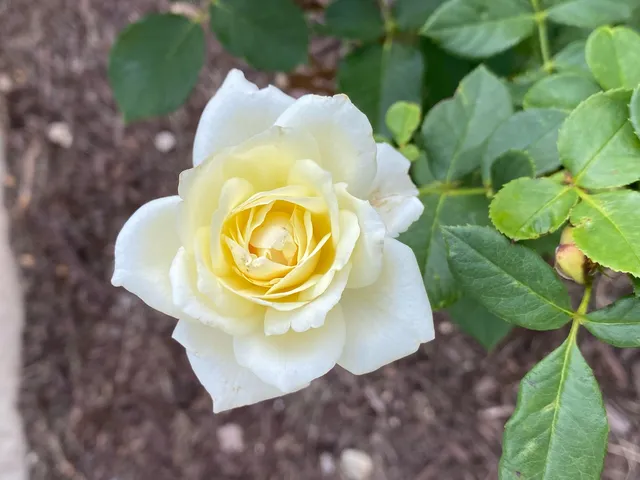 $315,000 | 707 Brittany Drive, Champaign, IL 61822