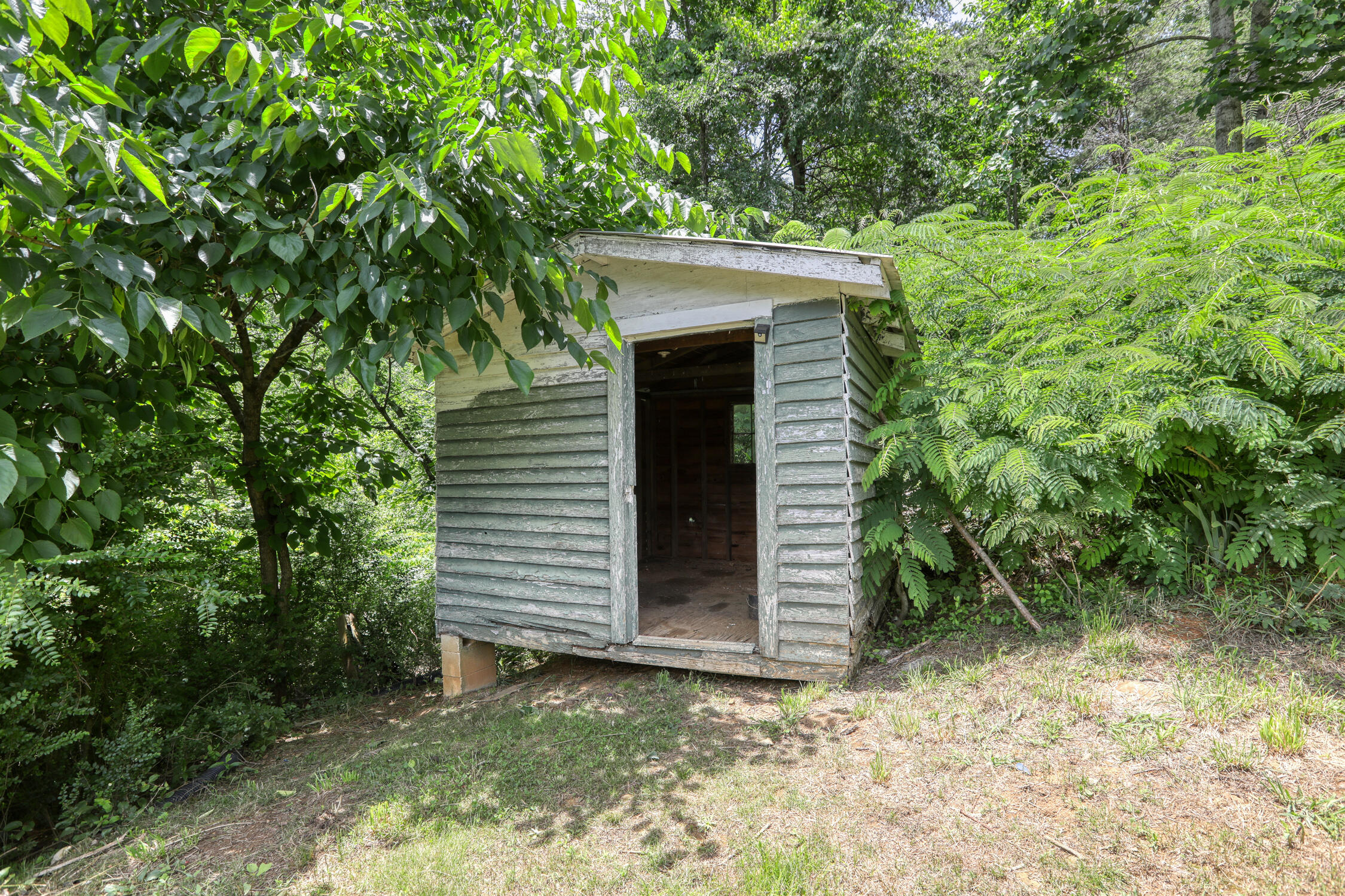 285 Lautner Road Bulls Gap, TN 37711 - Photo 34 of 35 Juhl. 285 Lautner Rd. BG MLSb (7 of 21)