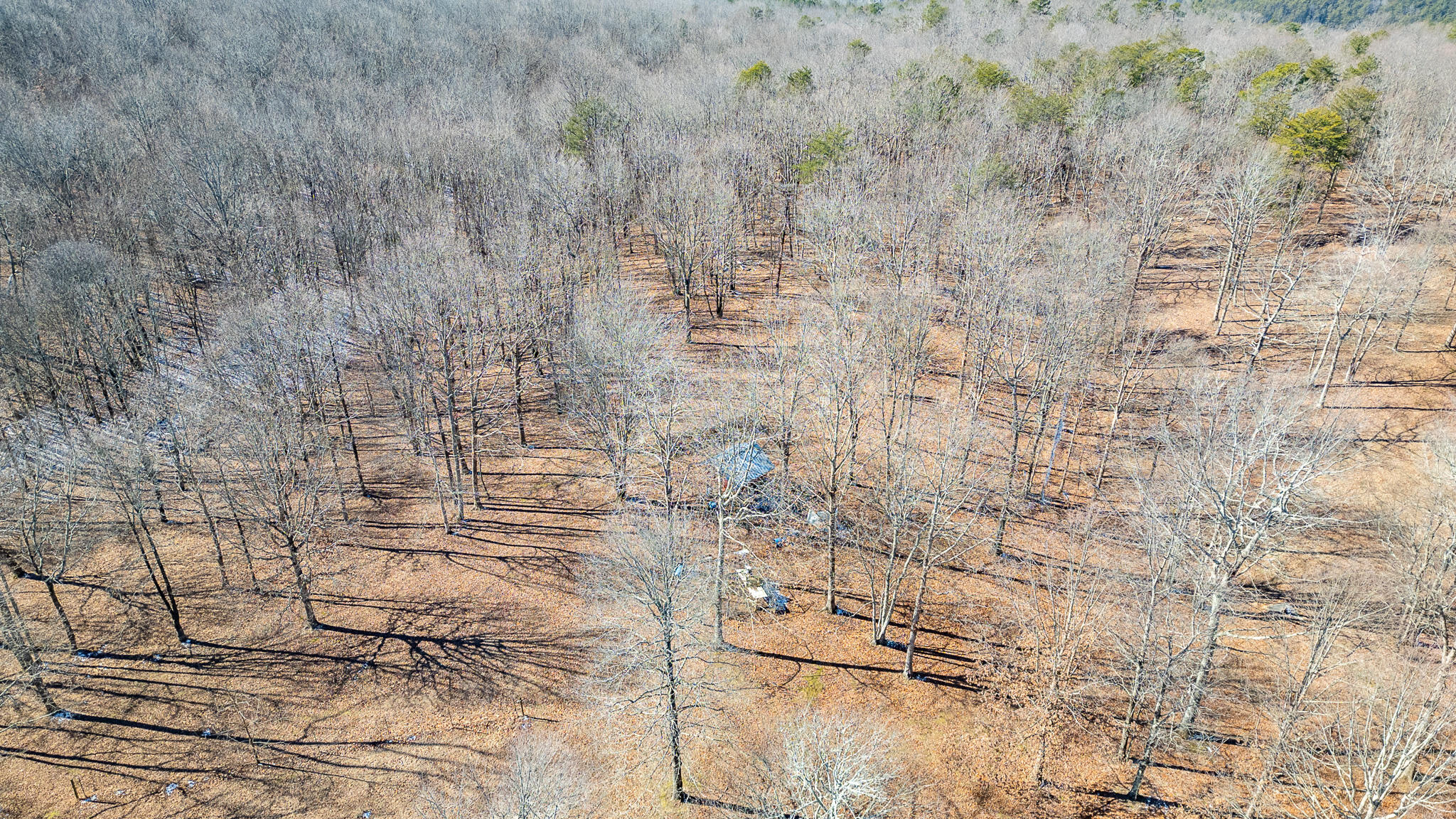 1844 Hobbstown Road Dunlap, TN 37327 - Photo 72 of 81 DJI_0165-HDR