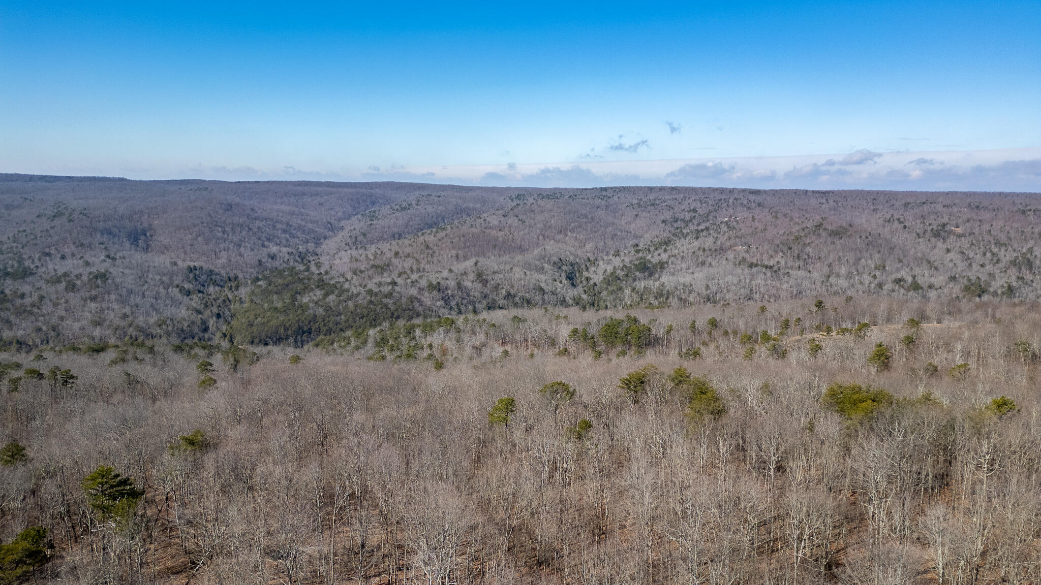 1844 Hobbstown Road Dunlap, TN 37327 - Photo 77 of 81 DJI_0180-HDR