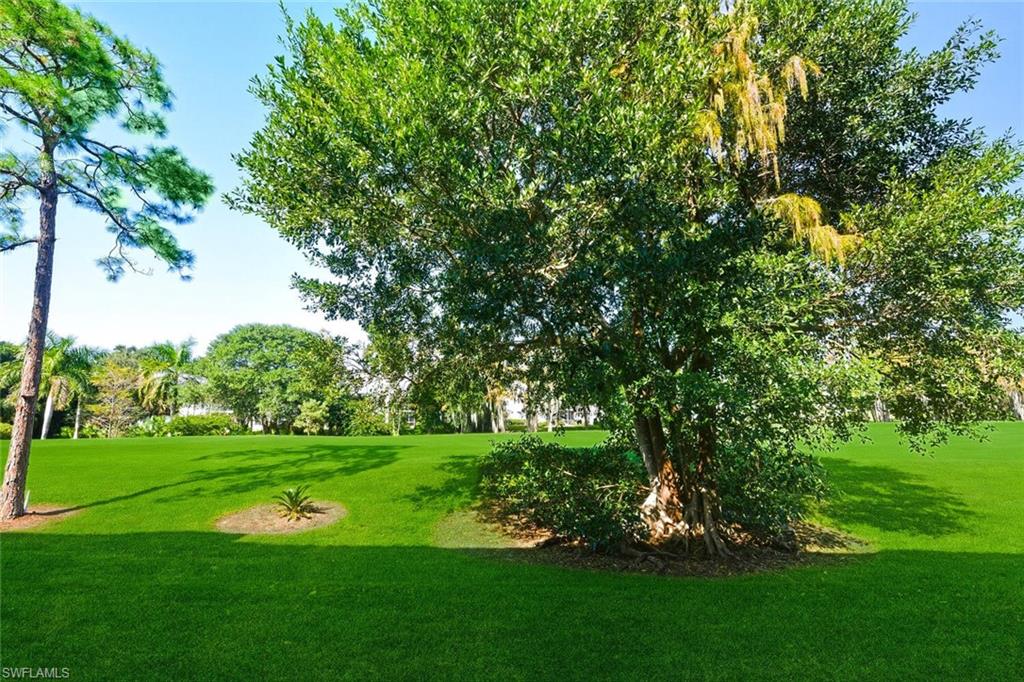 7380 St Ives Way, Unit 1108 Naples, FL 34104 - Photo 25 of 46 BACK YARD