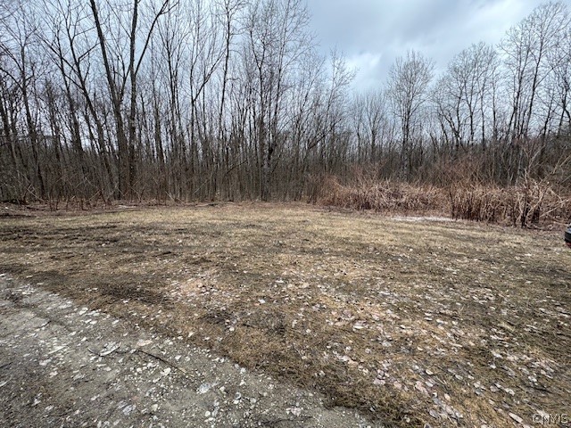Harris Road Cincinnatus, NY 13040 - Photo 21 of 22 Gallery Image 21