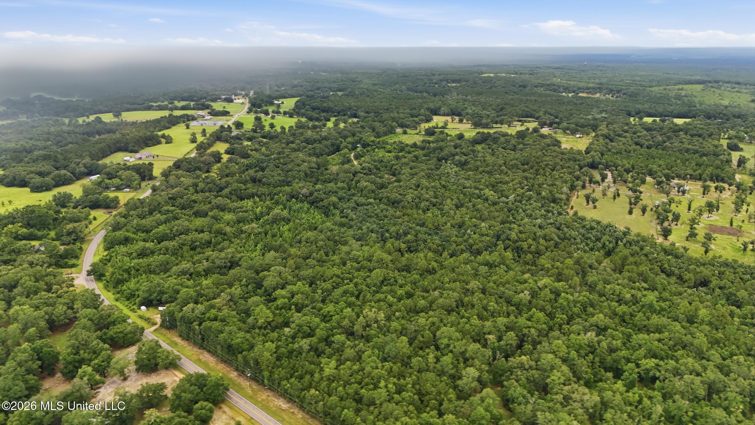 0 Vidalia Road Pass Christian, MS 39571 - Photo 8 of 12 DJI_20260710123604_0819_D