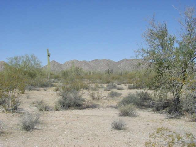 0 South Lapaz Road, Unit 41 Maricopa, AZ 85139 - Photo 1 of 1 Primary Photo