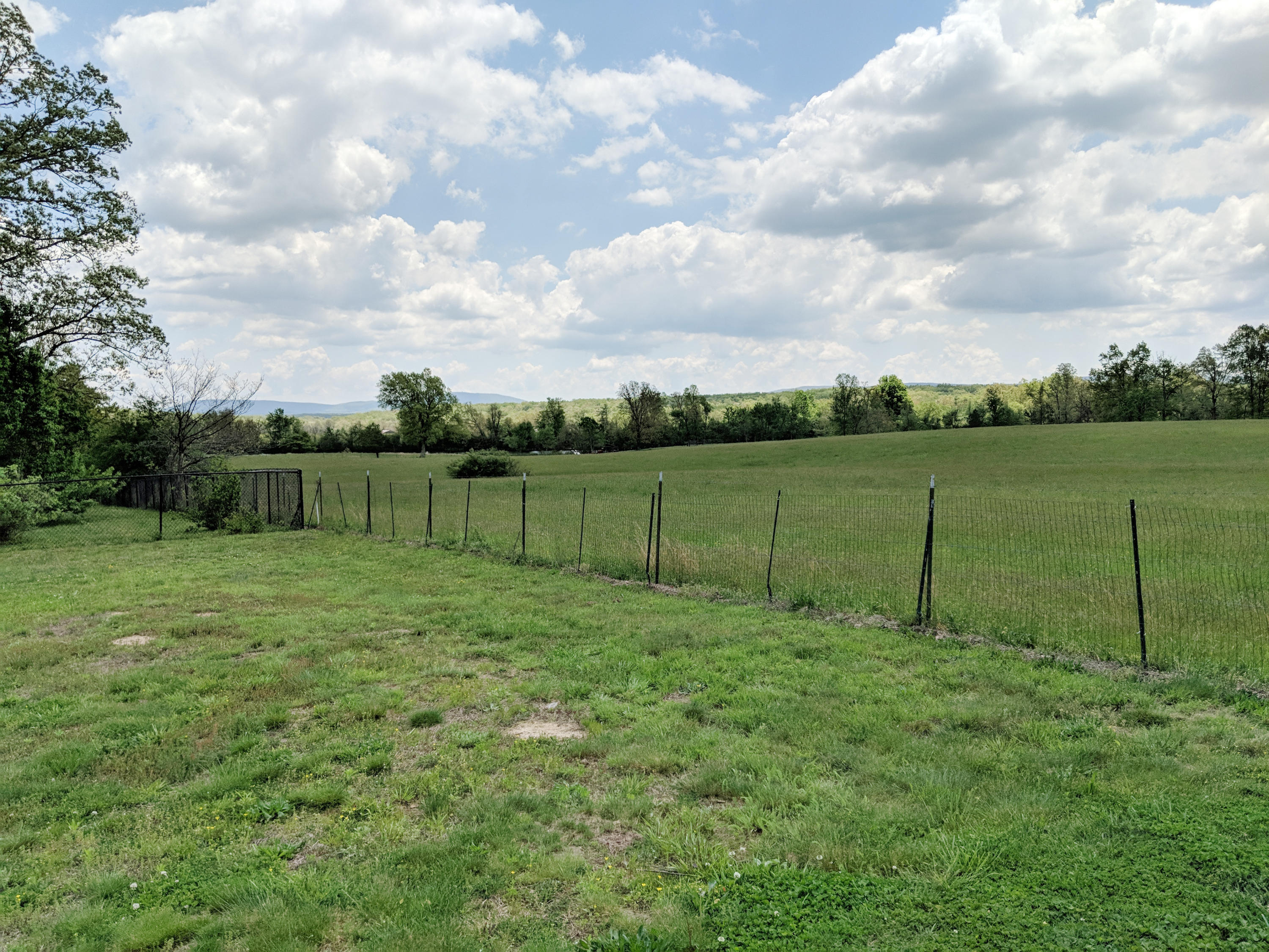 276 Dorton Road Crossville, TN 38555 - Photo 23 of 23 View From Backyard